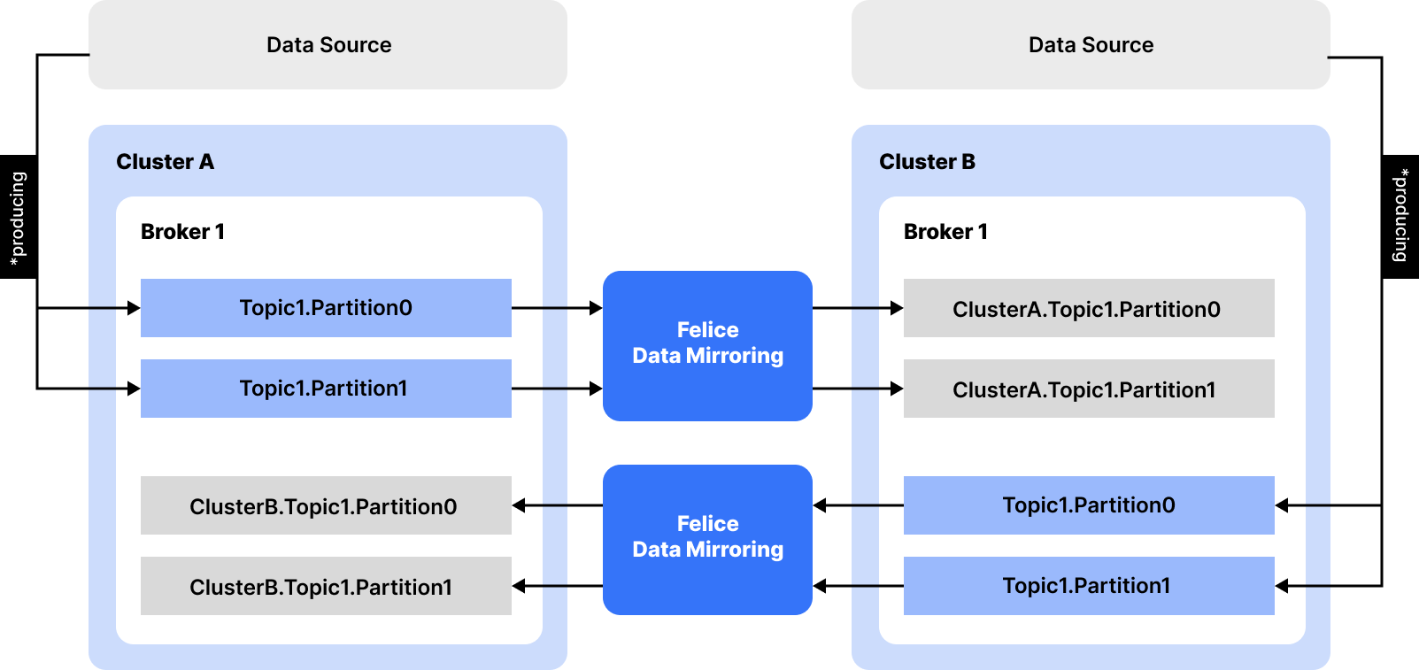 data_mirroring_arch